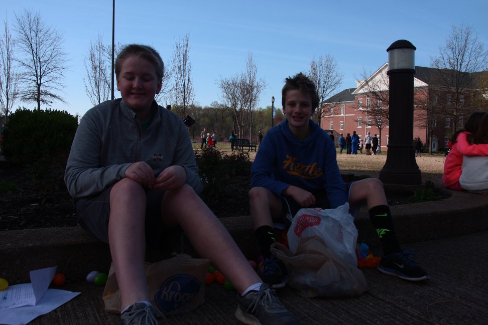 Bunny Run Photo